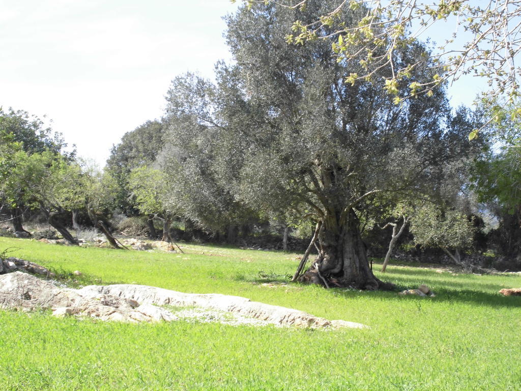 Agroturismo Na Set Centes - Adults Only Арта Екстер'єр фото