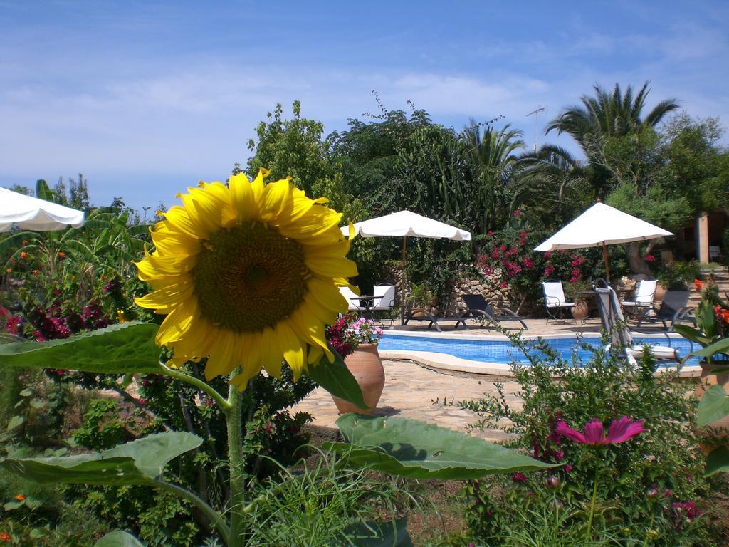 Agroturismo Na Set Centes - Adults Only Арта Екстер'єр фото